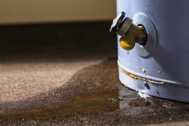 Best Water damage restoration near me  in Mandeville, LA