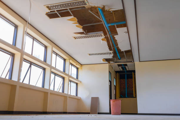 Best Basement water damage restoration  in Mandeville, LA