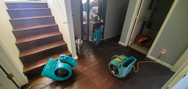 Best Water damage restoration specialists  in Mandeville, LA