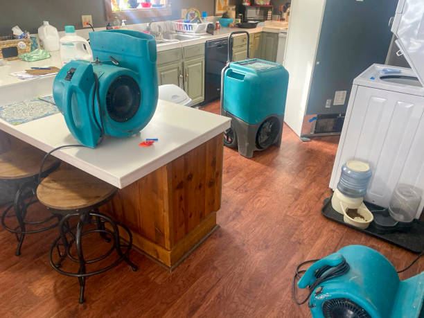 Best Water damage repair service  in Mandeville, LA