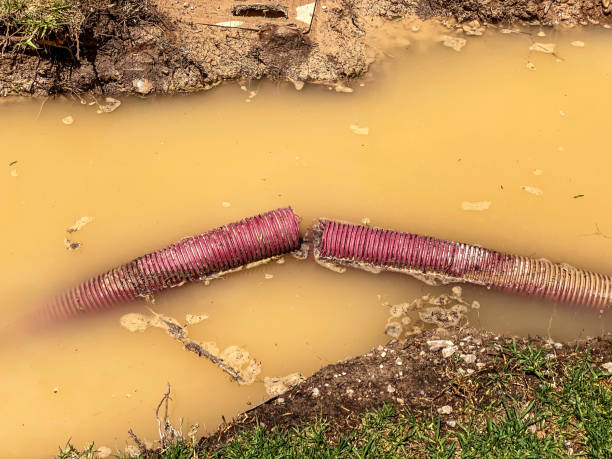 Best Basement water damage restoration  in Mandeville, LA