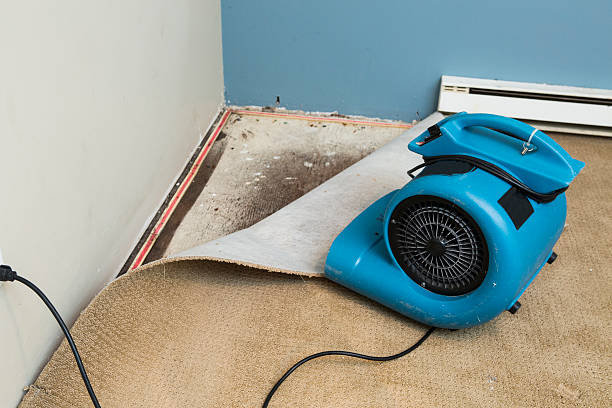 Best Water damage restoration near me  in Mandeville, LA